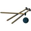 3" Painted Screws (12/Bag)